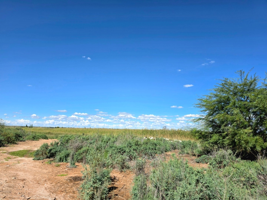 Commercial Property for Sale in Olyfvenhoudtsdrift Northern Cape